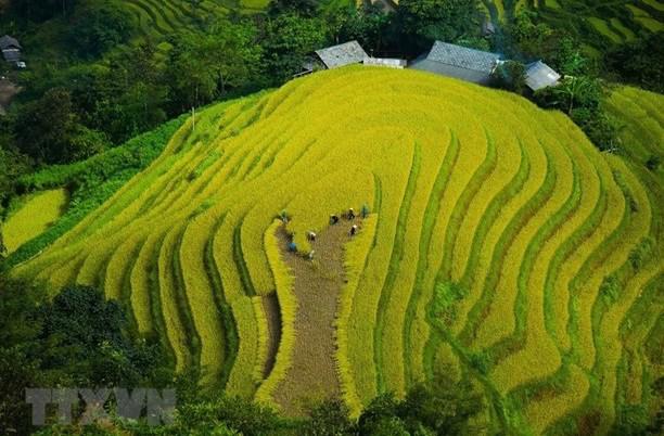 Virtual tourism offers new way for Ha Giang